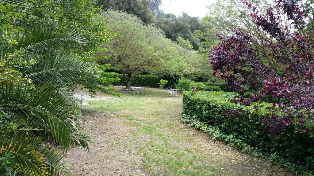 Le Clos Du Loup La Colle-sur-Loup Zewnętrze zdjęcie