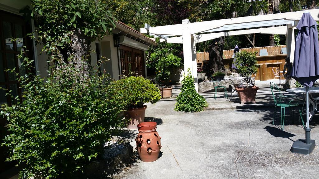 Le Clos Du Loup La Colle-sur-Loup Zewnętrze zdjęcie